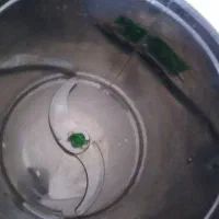 سبزی خوردکنی