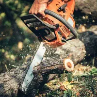 خرید و فروش چوب