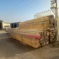 حلب شیروانی،پوشش بام،چوب نراد و تولید درب ساختمانی|مصالح و تجهیزات ساختمان|رودسر, |دیوار