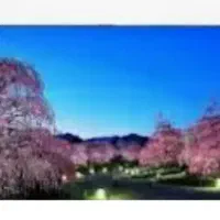 تی وی ۵۸ اینچ