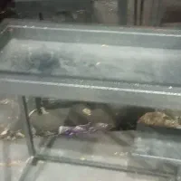 تولید منقل های ذغالی|اجاق گاز و لوازم برقی پختوپز|تهران, مولوی|دیوار