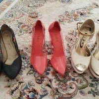 کیف وکفش|کیف، کفش، کمربند|تربتحیدریه, باغ سلطانی|دیوار