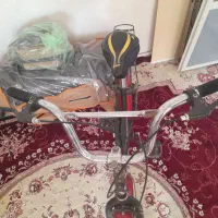 دوچرخه ۲۰ ونوس