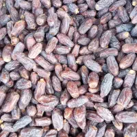 خرما|خوردنی و آشامیدنی|همدان, |دیوار