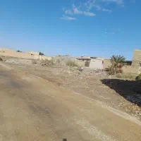 زمین-110متری-مولوی-خیابان-النصر
