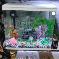 فروش آکواریوم شرکتی با تمامی وسایل