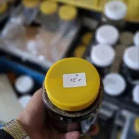 فروش عمده و خرده انواع شیره و رب با قیمت تولیدی