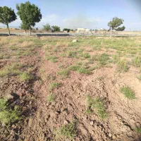 زمین-216-متری