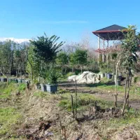 280م-زمین-دونبش-قابل-ساخت-مدارک-کامل-نعمت-آباد