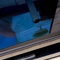 میز تلویزیون|میز تلویزیون|رشت, باهنر|دیوار