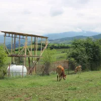 زمین کشاورزی .خاصکول