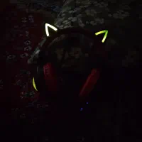 هدفن|لوازم جانبی موبایل و تبلت|فردیس, منظریه|دیوار