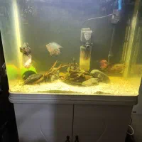 فروش آکواریوم