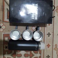 فلاکس مسافرتی