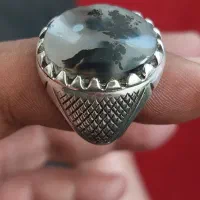 انگشترشجرپایه صبا