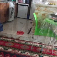 هم خونه میخوام
