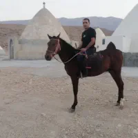 فروش اسب درشوری