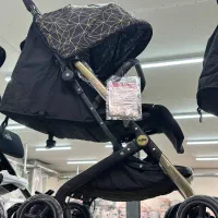 کالسکه مینی پرو دلیجان