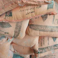 گچ وطنی کاکی