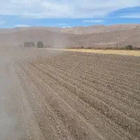 احاره-زمین-کشاورزی