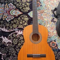 گیتار|گیتار، بیس، امپلیفایر|شهر ری, شهرری|دیوار