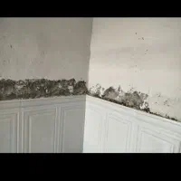 لکه گیری وگچکاری انجام می شود|خدمات پیشه و مهارت|نیک شهر, |دیوار