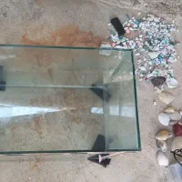 آکواریوم برا فروش|ماهی|مسجد سلیمان, |دیوار