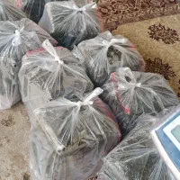 سبزی معطر وخوش طعم خوزستانی فقط100تومن|خوردنی و آشامیدنی|شاهینشهر, دهخدا|دیوار