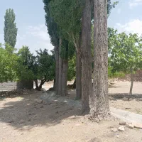 خرید انواع چوب باغی