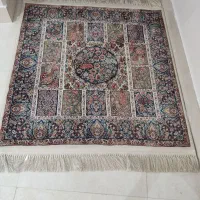 فرش فرهی|فرش|رشت, جهاد|دیوار