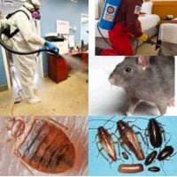 سمپاشی تضمینی٪ ساس سوسک موریانه کنه موش سم پاشی