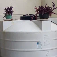 خونه باغ پشت تالار طاووس