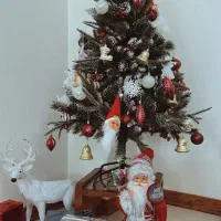 درخت کریسمس و تزئینات