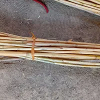 برای تکی و جفتی|سازهای سنتی|بوشهر, |دیوار