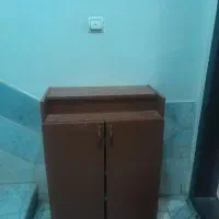 جاکفشی سالم‌