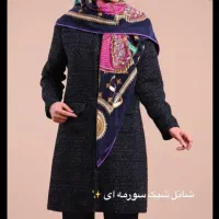 پالتو کاملا نو زیر قیمت