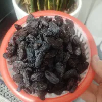 مویز آفتابی شیره کشمش