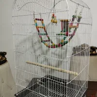 قفس بزرگ عروس هلندی و طوطی
