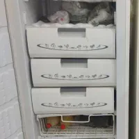 فریزر ارج چهار میلیون و ششصد|یخچال و فریزر|بوشهر, |دیوار