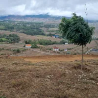 زمین ۳۴۵ متر کلاردشت، چناتر