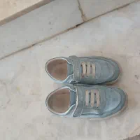 کفش و صندل|کیف، کفش، کمربند|تایباد, |دیوار