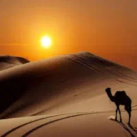 سرگرمی و فراغت