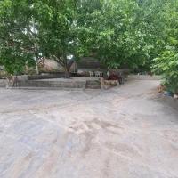 فروش خانه باغ ۶۳۰متر بلواراصلی شهر رستم آباد گیلان