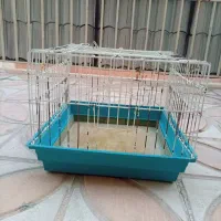 قفس خرگوش و خوکچه