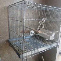 قفس قنارای سهره