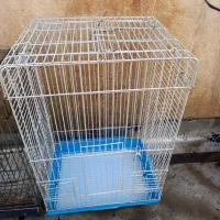 قفس پرنده|لوازم جانبی حیوانات|ری, فیروزآباد|دیوار