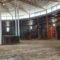 پانسیون اسب|اسب و تجهیزات اسبسواری|شیراز, حومه شیراز|دیوار