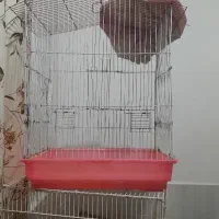 قفس سالم و مقاوم