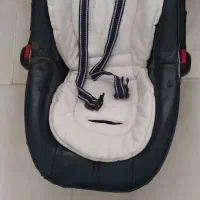 کالسکه و کریر برند دلیجان|کالسکه و لوازم جانبی|کرج, المهدی|دیوار