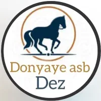 بهترین زمان یادگیری سوارکاری(مقدماتی و پیشرفته)|خدمات آموزشی|دزفول, |دیوار